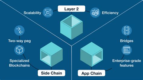 Conclusion: A Balanced Perspective on Appchains