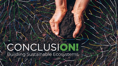 Conclusion: A Call for Building a Sustainable Web3 Creator Ecosystem