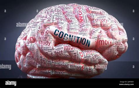 Conclusion: A Cerebral Spectacle