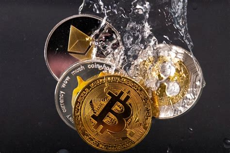 Conclusion: A Crypto Dream Dashed by Reality