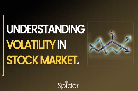 Conclusion: A Measured Approach to a Volatile Market