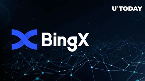 Conclusion: A Path Forward for BingX and the Crypto Community