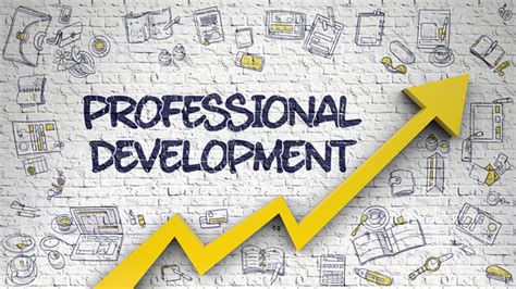 Conclusion: A Portrait of a Developing Professional