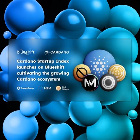 Conclusion: A Promising Future for ADAX and the Cardano Ecosystem