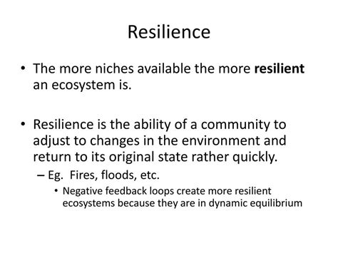 Conclusion: A Resilient Ecosystem