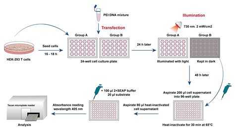 science research illustration