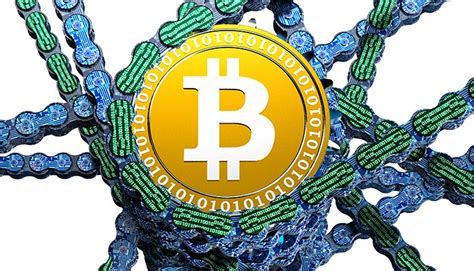 Conclusion: Key Takeaways on Bitcoin Awareness in Germany