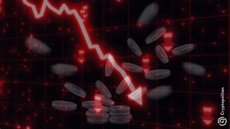 Conclusion: Learning from the LIBRA Losses