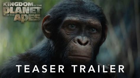Conclusion: Navigating the APE Landscape