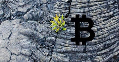 Conclusion: Navigating the Bitcoin Landscape in a Time of Economic Uncertainty