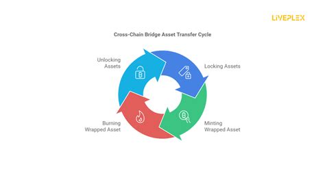 Conclusion: Navigating the Bridge to a Multi-Chain Future