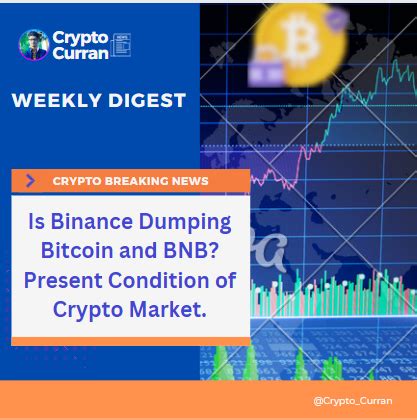 Conclusion: Navigating the Uncertainties Surrounding BNB