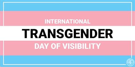 Conclusion: Supporting Trans Visibility in the Digital Age