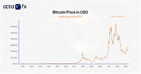 Conclusion: Weighing the Risks and Rewards of Bitcoin in an Uncertain Market