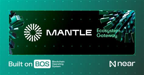 bridging ecosystem implementation