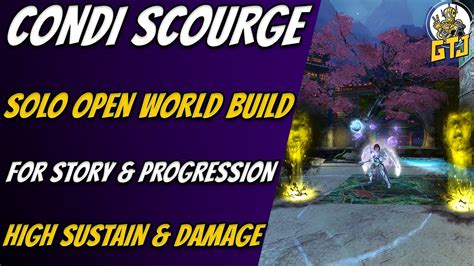 Overview. Scourge has tons of condition pressure, but is one of the more vulnerable classes in WvW roaming, which is why they often run in zergs with many supports. This build aims to make up for that vulnerability with the utility skills that have escape potential to allow you to obliterate tanky roamers while still surviving thieves and mesmers.. 