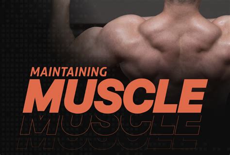 Conditioning for Muscle Mass