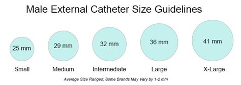Condom Catheter Size Template