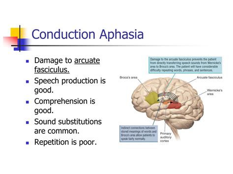 Conduction Aphasia: Symptoms, Examples,