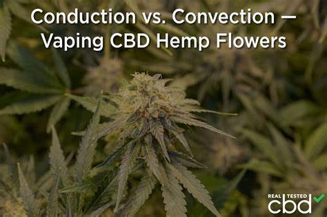 Conduction vs. Convection — Vaping CBD Hemp Flowers