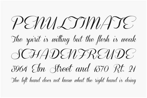 Coneria Script Fonts Shmonts