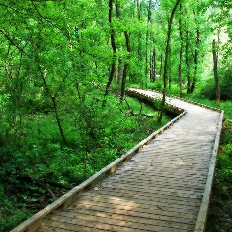 Conestee. Best kept secret in Greenville. The Lake Conestee Nature Park is 400 acres of walking/biking trails just 10 minutes from downtown Greenville. There are 3.1 miles of natural surface trails and 2 miles of paved trails for walking, biking, or wheelchairs. 