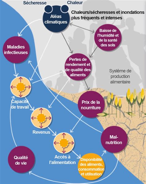 Conférence « Quelles effets du changement climatique sur la …