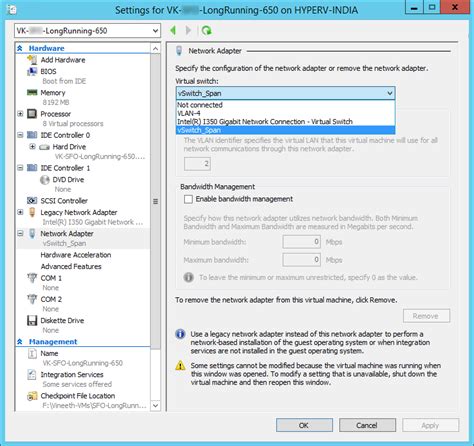 Configuring Span For Hyper V