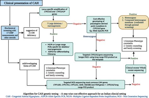 Congenital Adrenal Hyperplasia Panel - Blueprint Genetics