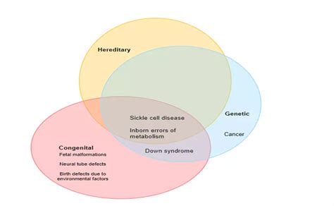 Congenital vs. Inherited: What’s the Difference? - The Pulse