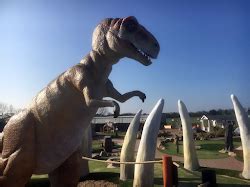 Congo Rapids Jurassic Adventure Golf Norwich - Setmore