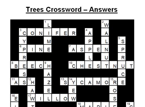 Type of conifer - Crossword Clue, Answer and 