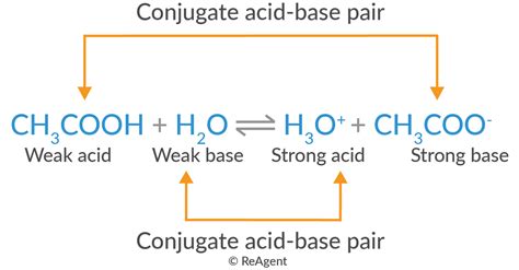 Conjugate base of h2o2.  A conjugate acid-base pair consists of two spe...