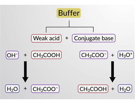 Conjugate base of hcn.  C) A buffer forms when a conjugate weak acid/weak b...