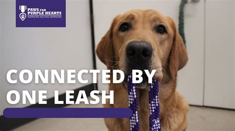 Connected By One Leash Recap - Paws For Purple Hearts