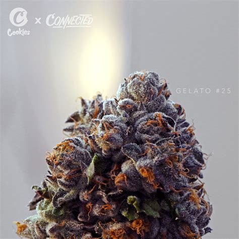 Connected gelato 25. .  ...