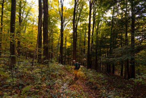 Connecticut:Must-See Day Hikes on the Appalachian …