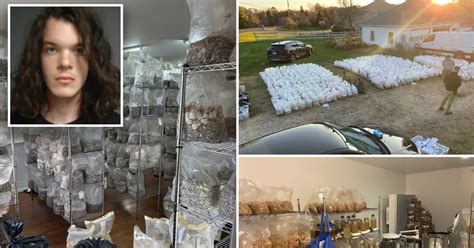 Connecticut man accused of running $8.5M mushroom factory in home