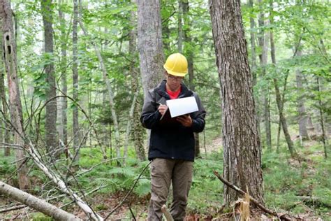 Connecting Maine Youth to Forest-based Careers - Maine TREE …