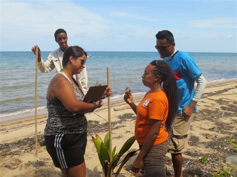 Connecting science and community: Volunteer beach profiling to …