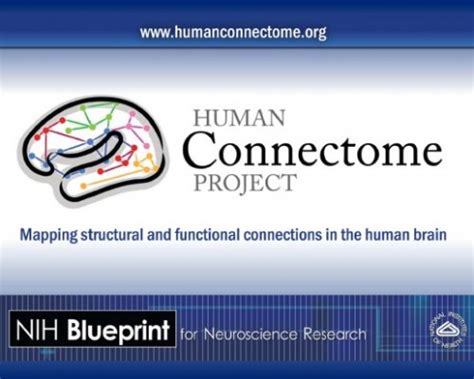 Connectome project.  The Human Connectome Project (HCP) The Open Connectome Project...