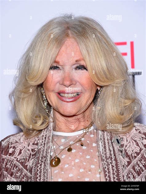 Connie stevens net worth