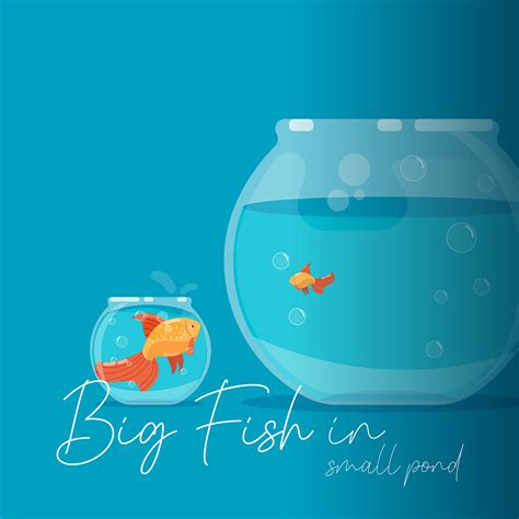 Conquer the Market as a Small Fish in a Big Pond: A Comprehensive Guide