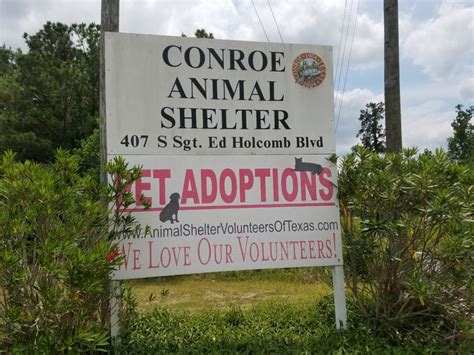 Conroe animal shelter. Here are 182 animal shelters in Conroe, TX with 7,839 adoptable pets. Harris County Pets. View shelter. 612 Canino Road, Houston, TX 77076. (281) 999-3191. Directions. 