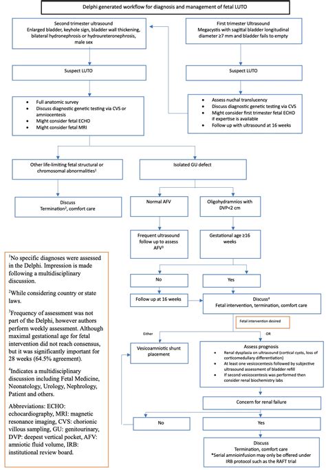 Consensus Core Set: Obstetrics and Gynecology - National …