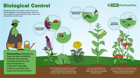 Conservation Biological Control