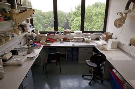 Conservation Laboratories - Institute of Archaeology - UCL