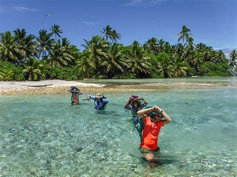 Conservation and Research Initiatives at Palmyra Atoll and …