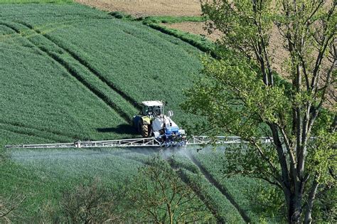 Conservative backlash kills off EU’s Green Deal push to slash pesticide use