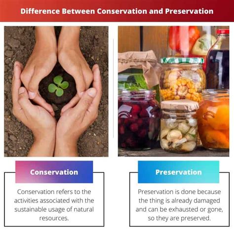 Conserve vs Preserve Meaning And Differences